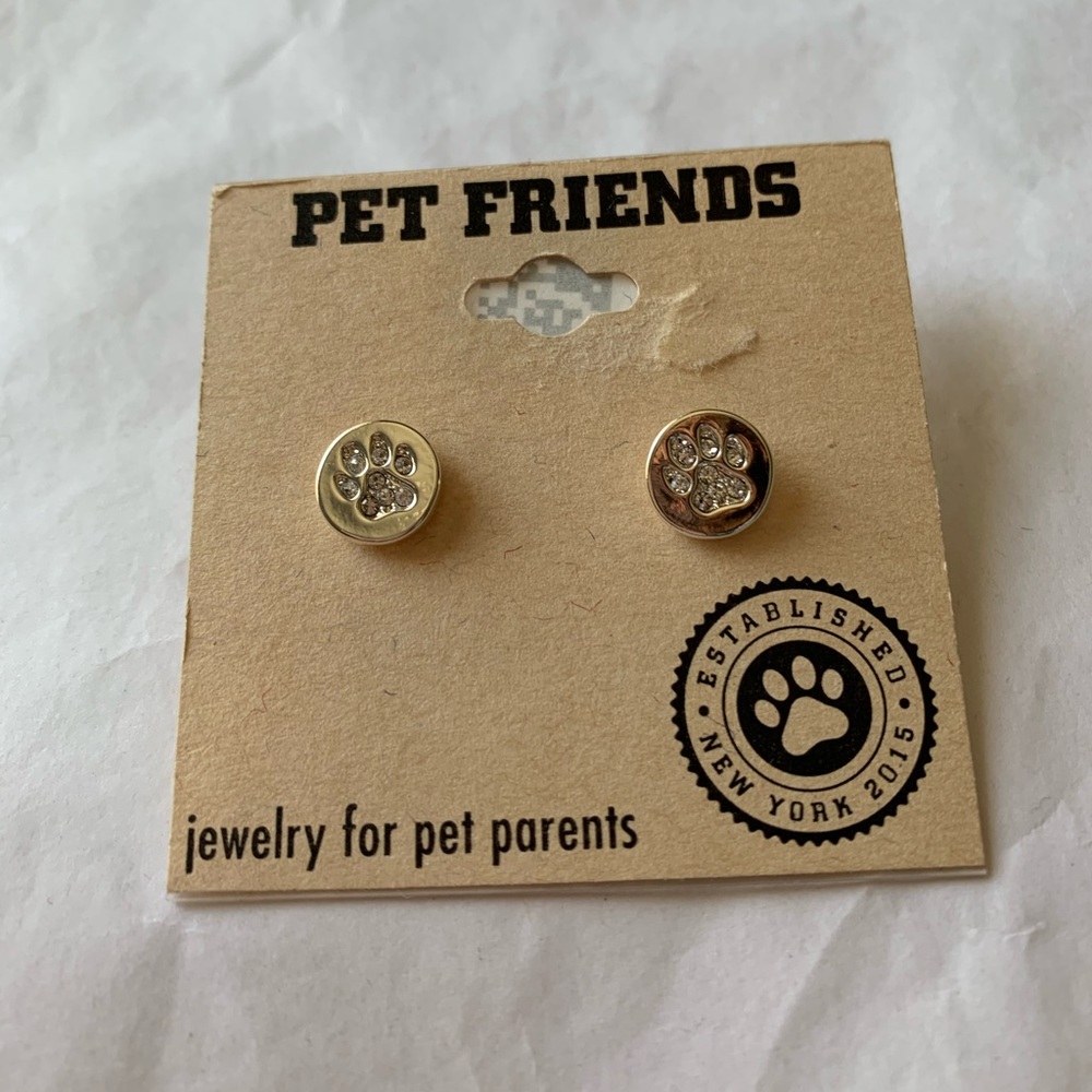 Pet Friends Dog Paw SilverTone Stone Stud Earrings